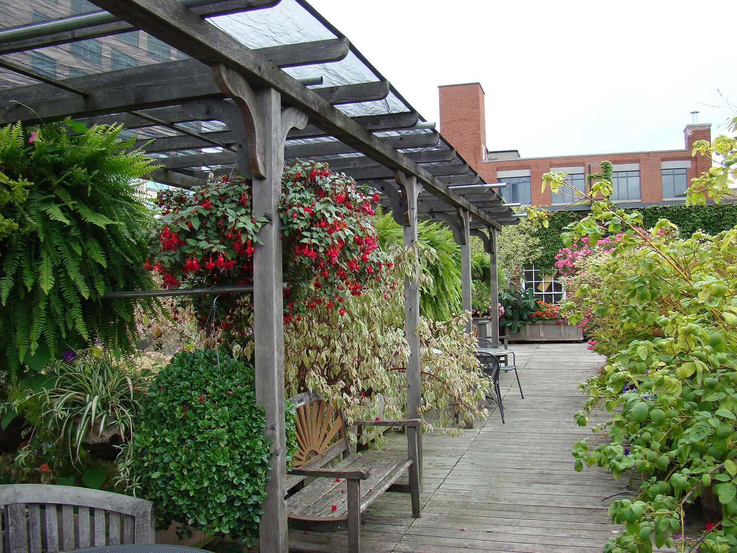 401 Richmond Street, Toronto – an example of a green roof