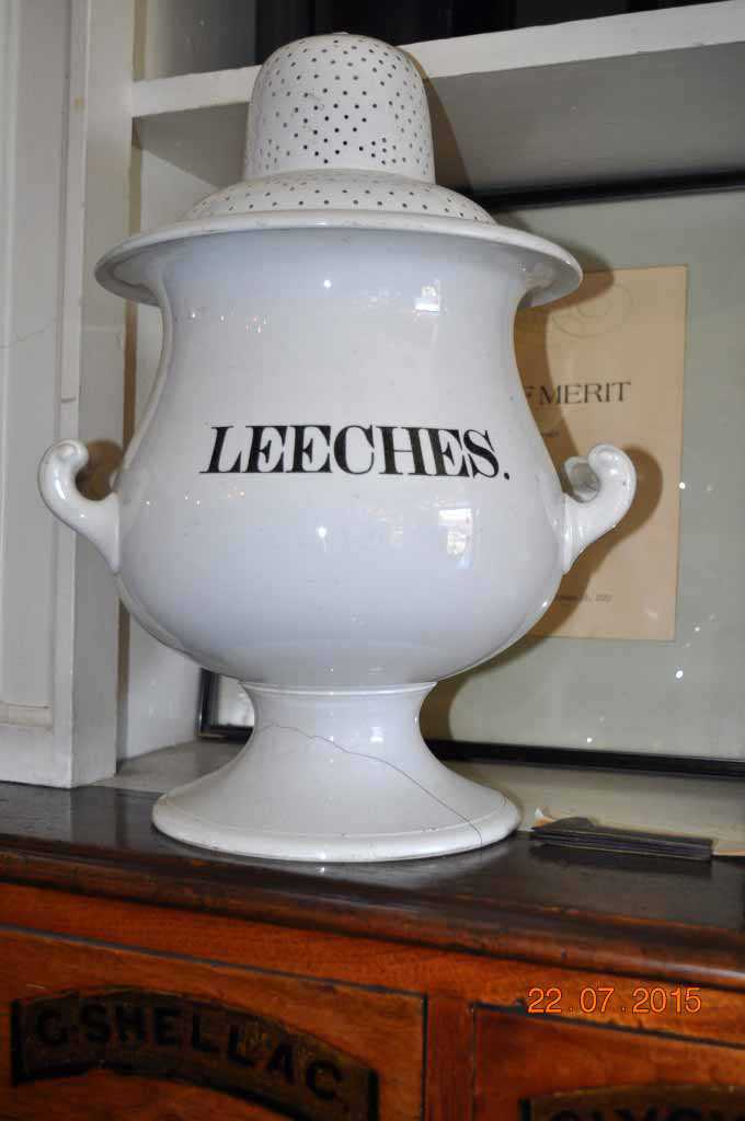 This 19th-century porcelain leech jar – on display at the Niagara Apothecary in Niagara-on-the-Lake – used to hold live medicinal leeches. Leeches were a popular 19th century treatment for skin infections. Still used currently in hospitals for micro surgery to maintain venous circulation. The saliva of the leech contains a useful anticoagulant.